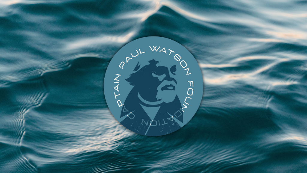 We're now supporting the Captain Paul Watson Foundation